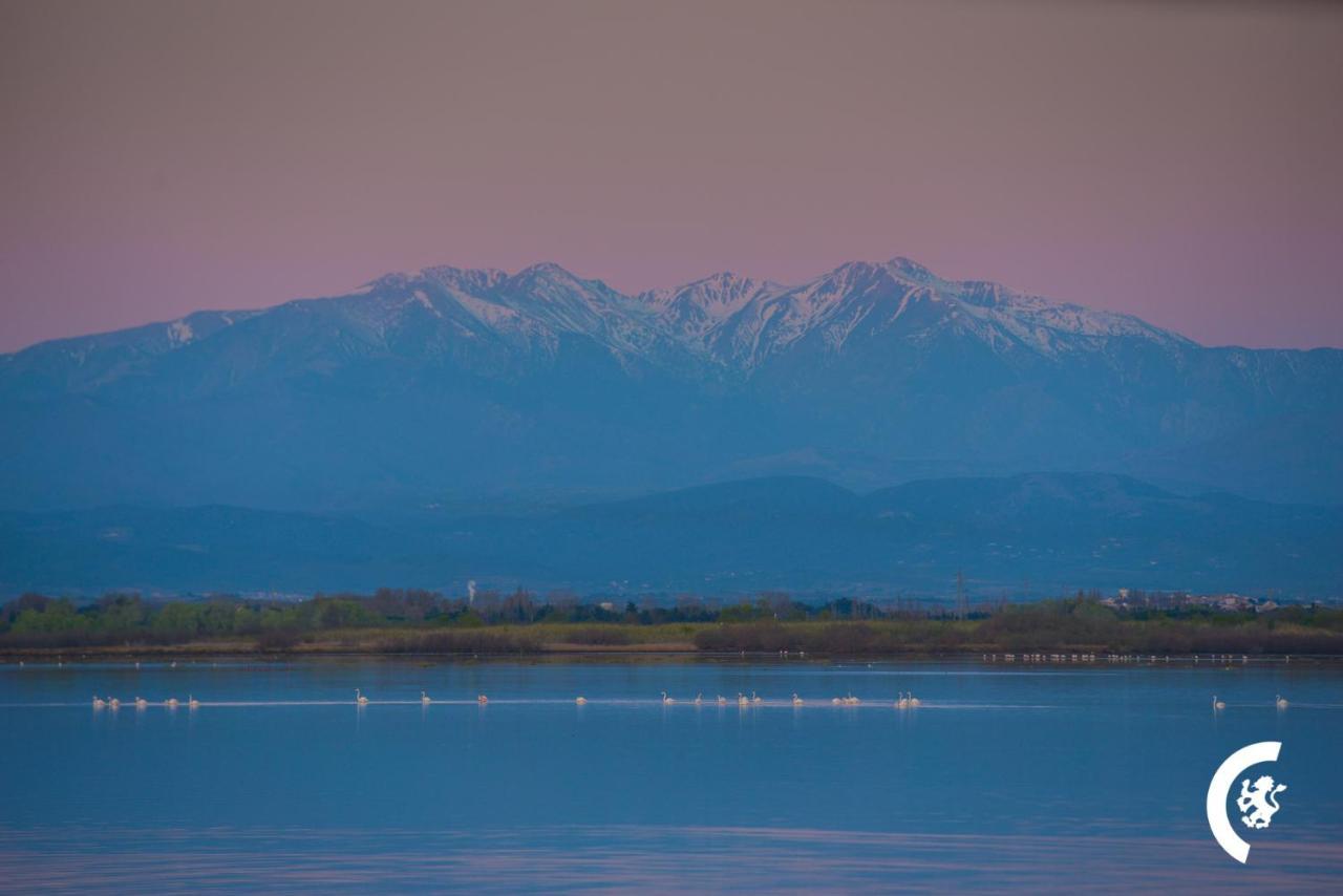 "Dream" Magnifique Vue Mer, Terrasse, Parking, Le Reve Apartment Canet-en-Roussillon Bagian luar foto